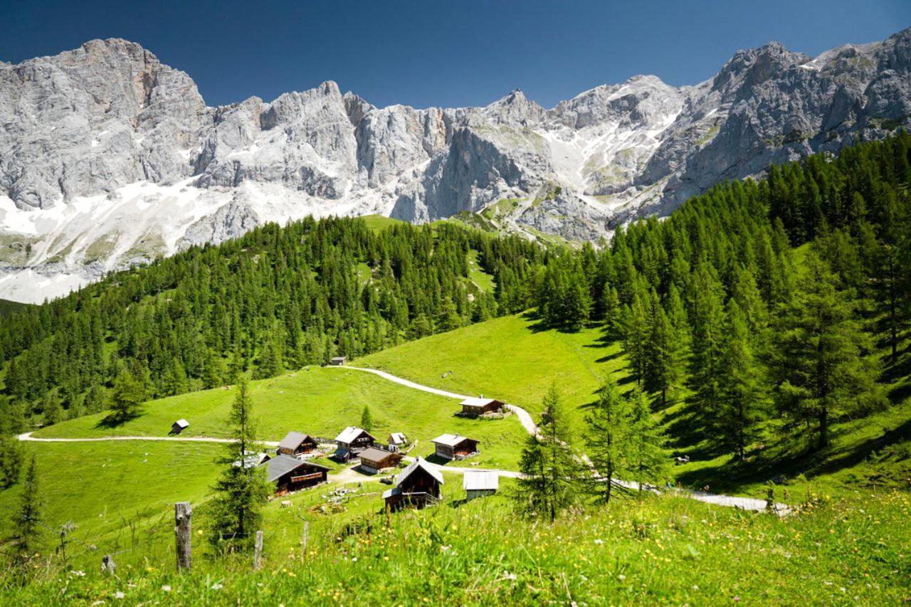 Apartman Ramsau Ramsau am Dachstein Buitenkant foto
